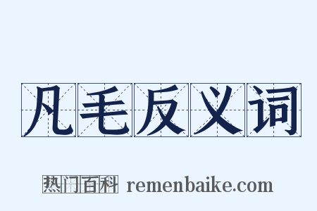 凡毛反义词是什么意思的图片
